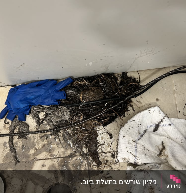 כפפות כחולות, כבל ניקוי, לכלוך על הרצפה